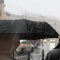 В Тюмени после ливня автомобилисты массово ищут потерянные номера